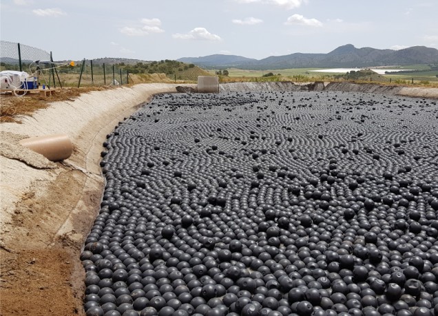 Livestock Sector. 60% emissions reduction