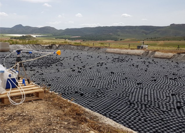 Livestock Sector. 60% emissions reduction