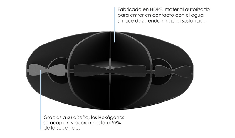 Hexágono